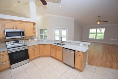 4904 County Road 103g, Oxford, FL 34484 - photo 4