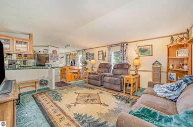 10269 30th Ave, Evart, MI 49631 - photo 3