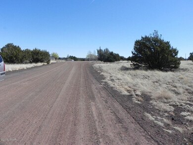 8761 Lance Dr, Show Low, AZ 85901 - photo 5