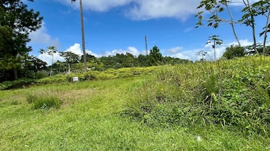 0 Carr 917 Km 9 4 B0 Montones, Las Piedras, PR 00771 - photo 3