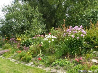 Yard/Garden