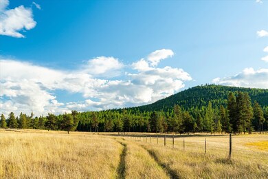 200 Hubbart Dam Rd, Marion, MT 59925 - photo 4