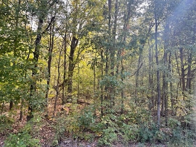 0 Bayview Dr Lot 160&161 unit RTC2782305, Bumpus Mills, TN 37028 - photo 3