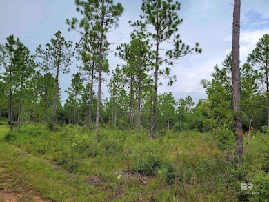 39449 State Highway 59 S, Bay Minette, AL 36507 - photo 4