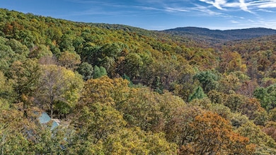 14163 Low Gap Rd, West Fork, AR 72774 - photo 4