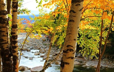 170 S Peak Rd unit 10, Lincoln, NH 03251 - photo 6