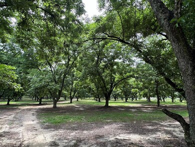 3109 U S 84, Cairo, GA 39828 - photo 4