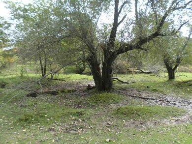 31 Ac Holly Ave, Tomah, WI 54660 - photo 4