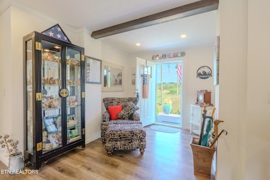 807 Gists Creek Rd, Sevierville, TN 37876 - photo 7