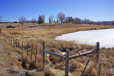 24934 Road N 4, Cortez, CO 81321 - photo 4