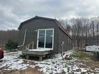 2641 W Van Rd, Pellston, MI 49769 - photo 2