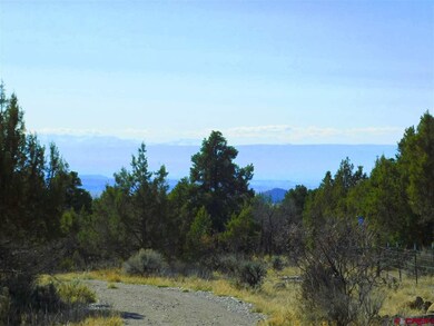0 Uintah Rd unit 752141, Cedaredge, CO 81413 - photo 3