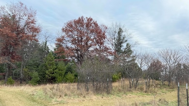Lt3 Boat Landing 11 Rd, Athelstane, WI 54104 - photo 2