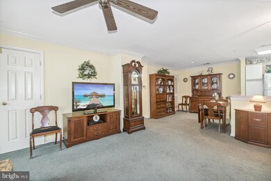 5017 Triplett Rd, Owings Mills, MD 21117 - photo 6