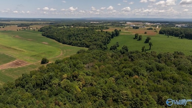 4 Acres Carters Gin Rd, Toney, AL 35773 - photo 2