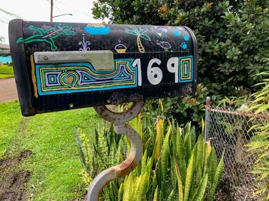 169 Laula Rd, Hilo, HI 96720 - photo 3