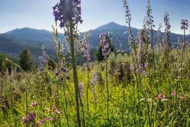 TBD Mountain Meadows Ln, Big Sky, MT 59716 - photo 6