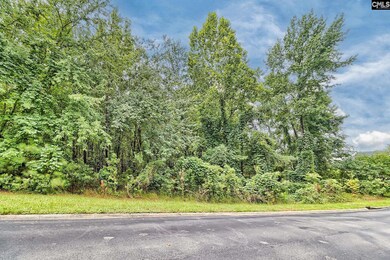 0 Kelsey Glen Dr unit 613064, Lexington, SC 29072 - photo 3