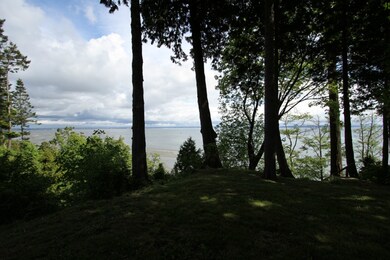 2281 Berry Ln, Point Roberts, WA 98281 - photo 5