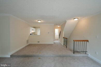 6203 William Mosby Dr, Centreville, VA 20121 - photo 6