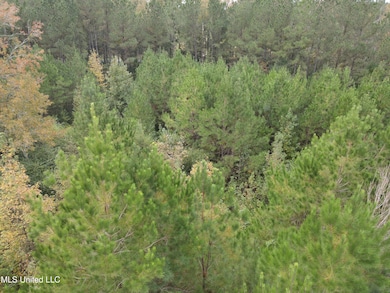 2077 County Line Rd W, Summit, MS 39666 - photo 4