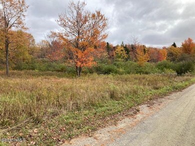 unlisted-address, Readsboro, VT 05350 - photo 6