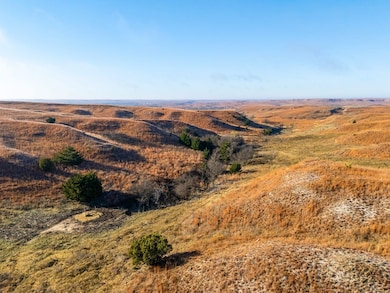S County Rd 170, Shattuck, OK 73858 - photo 3