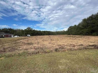 Lot 1 Freemanville Dr, Atmore, AL 36502 - photo 5
