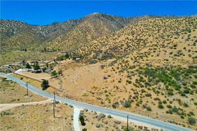 118 Juniper Hills Rd, Juniper Hills, CA 93543 - photo 4