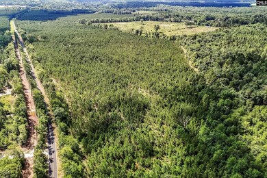 4000 Old Ninety Six Indian Trail, Wagener, SC 29164 - photo 4