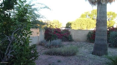 023-255250 Back Yard Additinal View