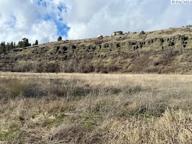 20 Red Tail Ridge, Colfax, WA 99111 - photo 7