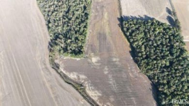 0 Cypress Dale Rd, Union Township, IN 47712 - photo 4