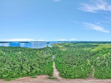 0 Moore Farm unit 24279649, Huntington, TX 75949 - photo 4