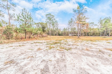 13121 NE 235th Ct, Raiford, FL 32083 - photo 4