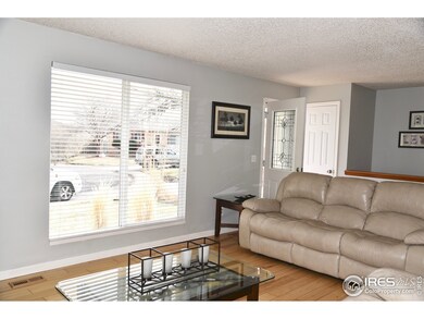 10861 Albion Ct, Thornton, CO 80233 - photo 5