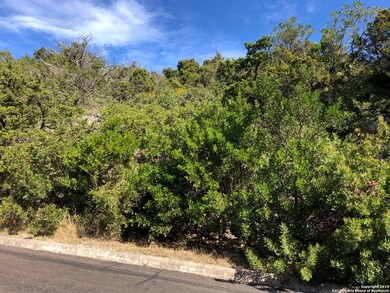 11249 Condor Pass, Helotes, TX 78023 - photo 6