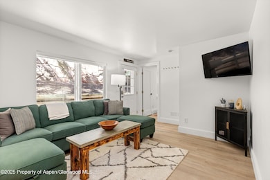 304 Waterview Dr, Snowmass, CO 81654 - photo 4