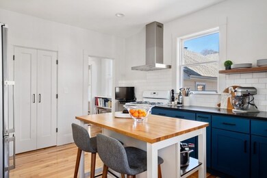 60 Chestnut St unit 2, Brookline, MA 02445 - photo 6