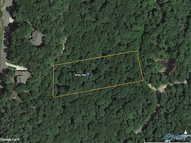 2.00 Ravens Ridge Rd, Gurley, AL 35748 - photo 3