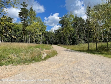 Lot 1a Rachael Fairfax Dr, Lansing, MI 48906 - photo 4