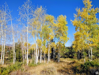 1813 S Greenleaf Rd unit 341, Heber City, UT 84032 - photo 3