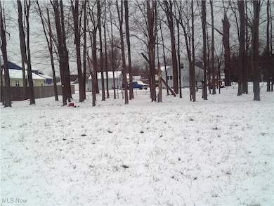 0 Arianna Ave, Lorain, OH 44052 - photo 4