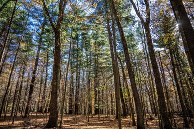 Lot 33 S Badger Ln, Monroe, WI 54613 - photo 7