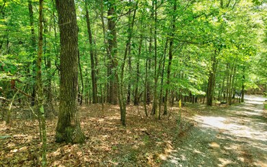 Lt33-34 Lt 33-34 Dogpatch Ln, Blue Ridge, GA 30513 - photo 4