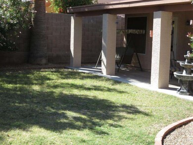 PATIO...BACKYARD