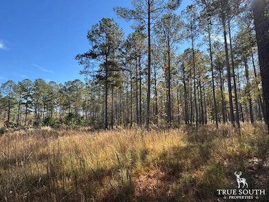 Rd, Luray, SC 29932 - photo 3