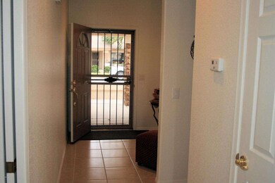 Front Security Door To Outside