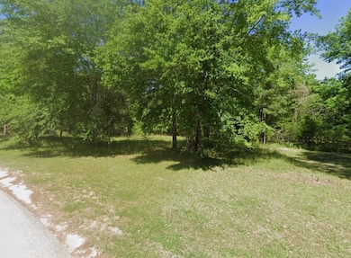 Joe Myers Rd, Livingston, TX 77351 - photo 5