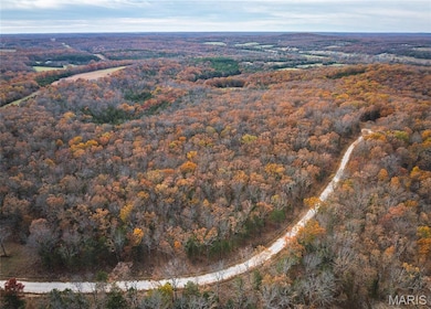 Aerial view of property's location